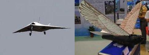 China's new UCAV, a small bird-like drone shown during a recent military show at Zhuhai / Source: Chinese Internet