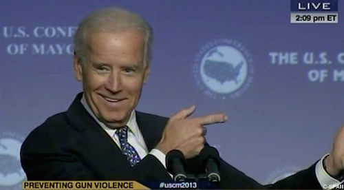 Joe Biden gun