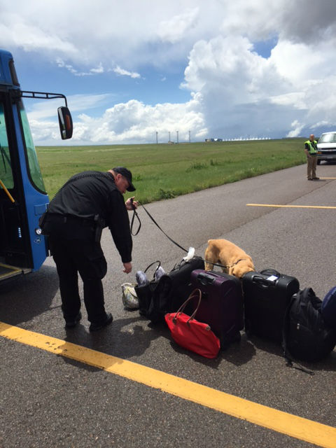 Search of the Southwest flight by canine units.