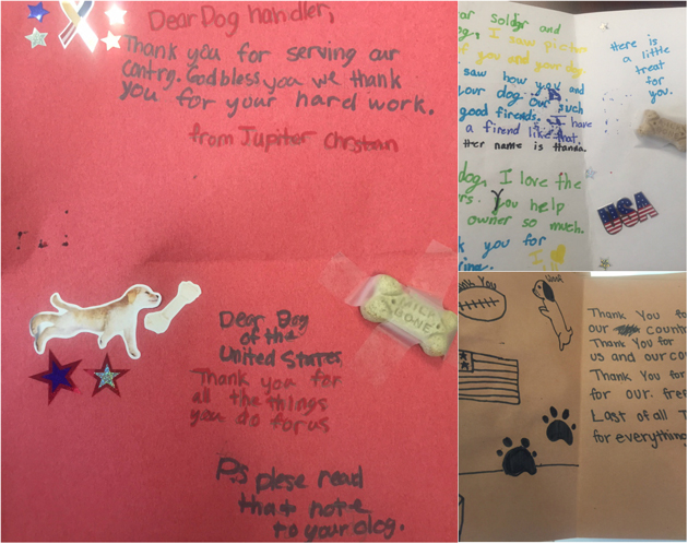 Pictures of the Cards for Dog Care Package Story
