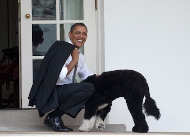 US President Barack Obama pets the famil