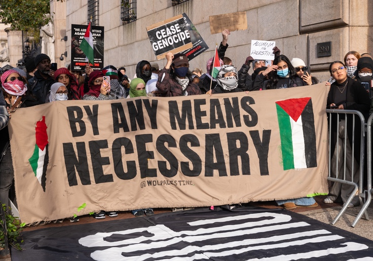 Congress Launches Probe Into Groups Funding 'Pro-Hamas' Unrest on Campus