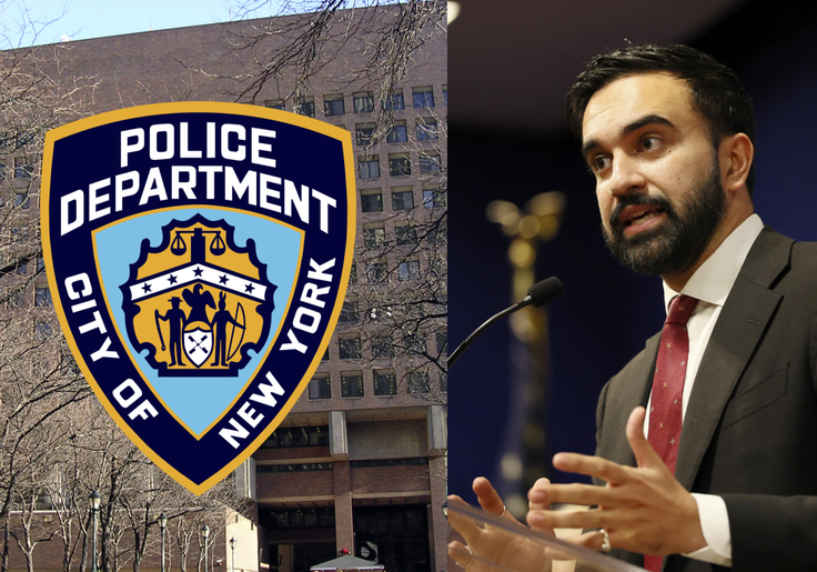 Zohran Mamdani Called To Stop Sending Cops to People 'Going Through Domestic Violence'