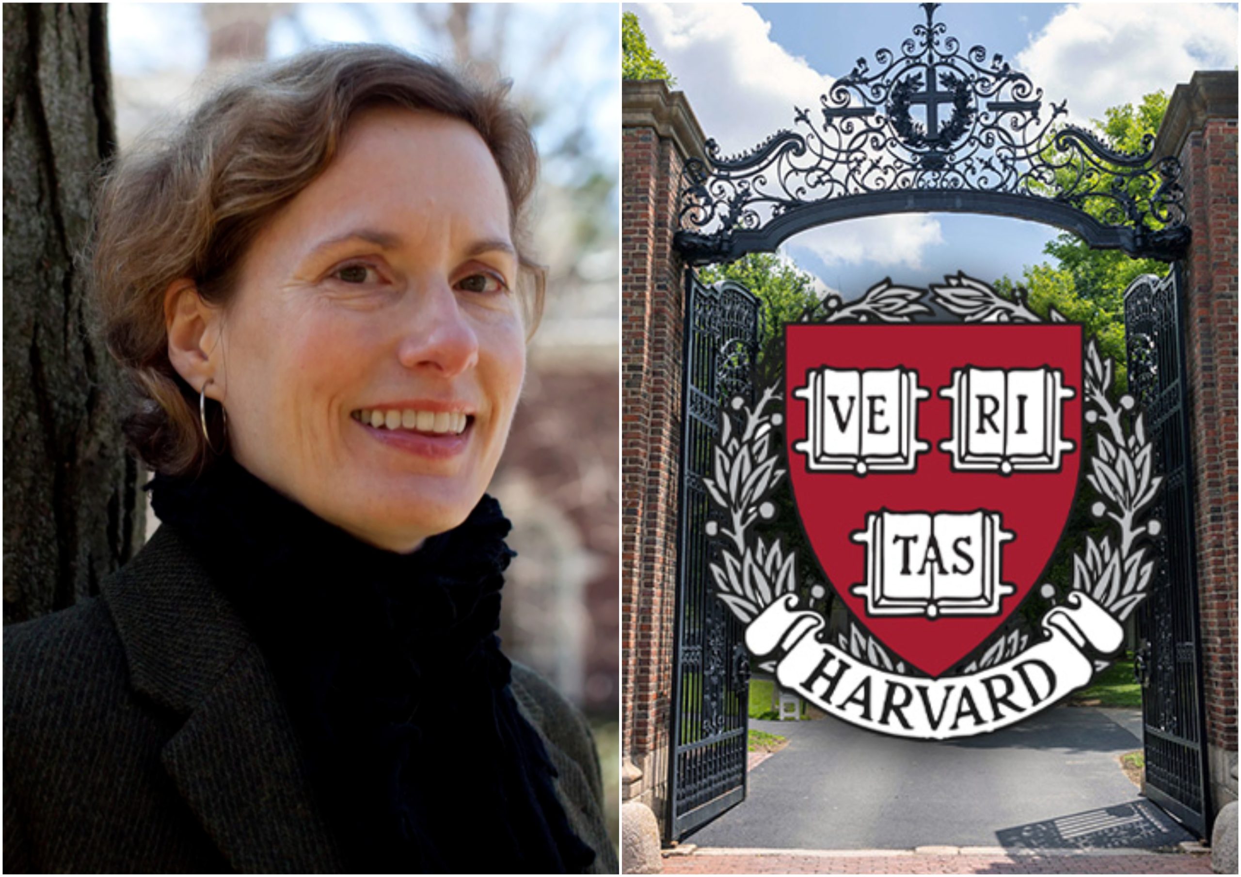 Harvard Launching New Green Major Led by Divestment Activist