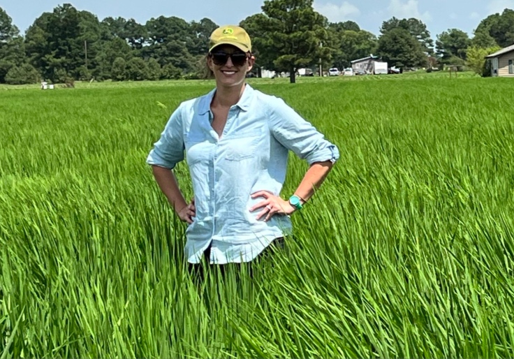 Arkansas Dem Running for Senate on 'Fairness' Platform Backed Race-Based Hiring and Admissions Policies