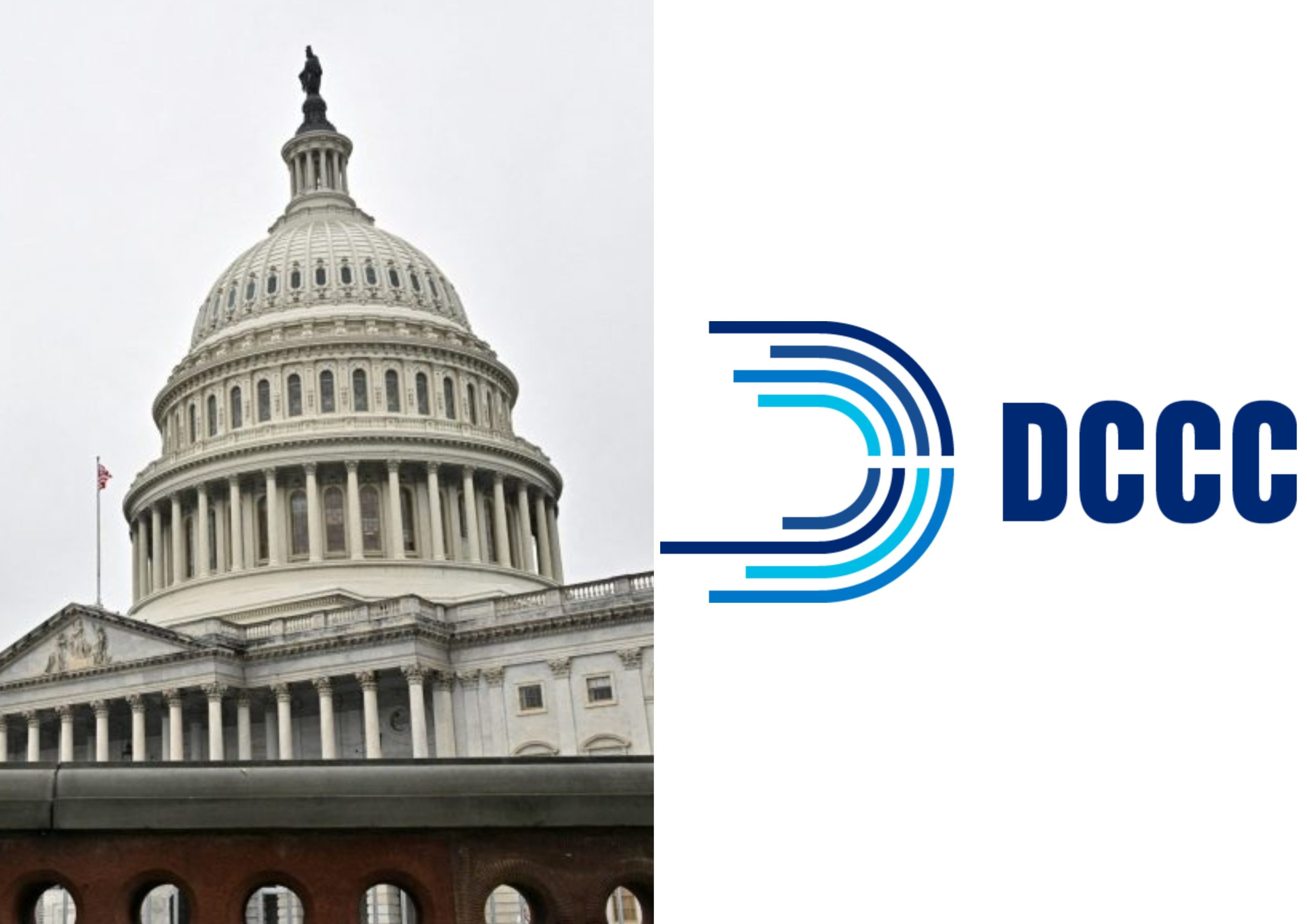 House Divided: Dem Congressional Candidates, Lawmakers Lash Out as 'Undemocratic' Party Leaders Endorse in Primaries